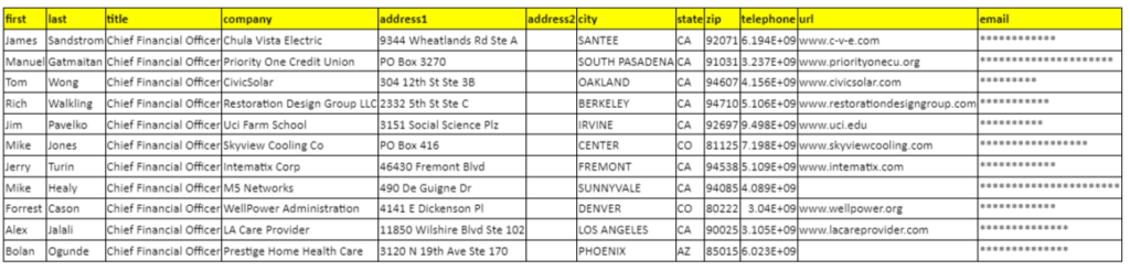 CFO Email List & CFO Mailing List